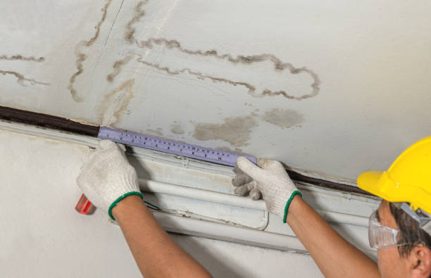 Reliable Water Extraction contractor in Ypsilanti, MI by Water Damage Irwin